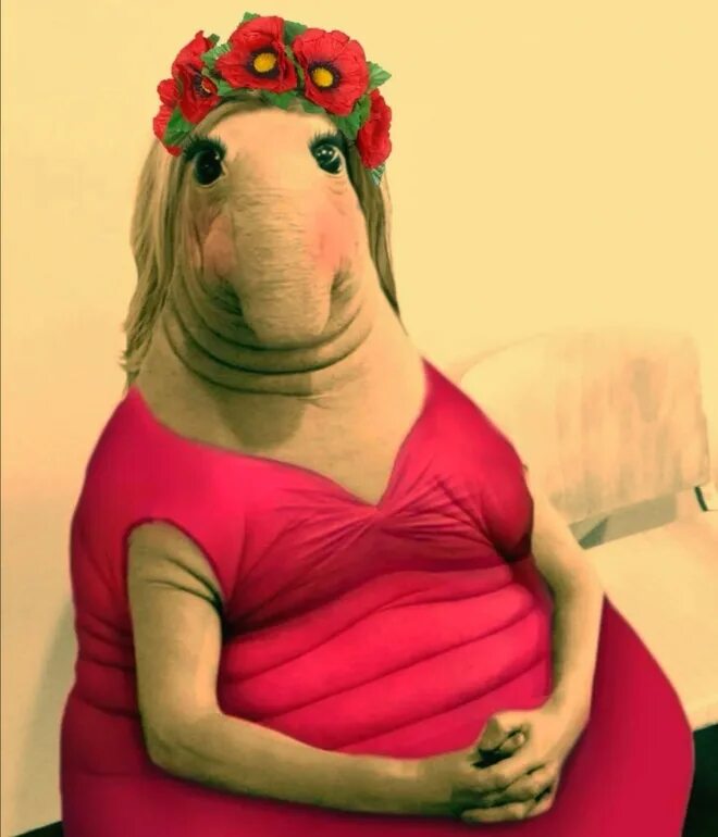 Ждун с текстом. 3 ждуна. Ждун моналища. Ждун. Ламантин ждун.