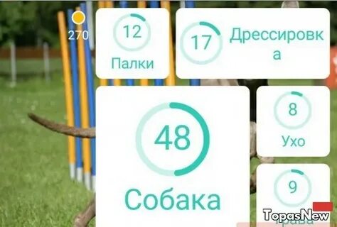 Игра на 94 процента