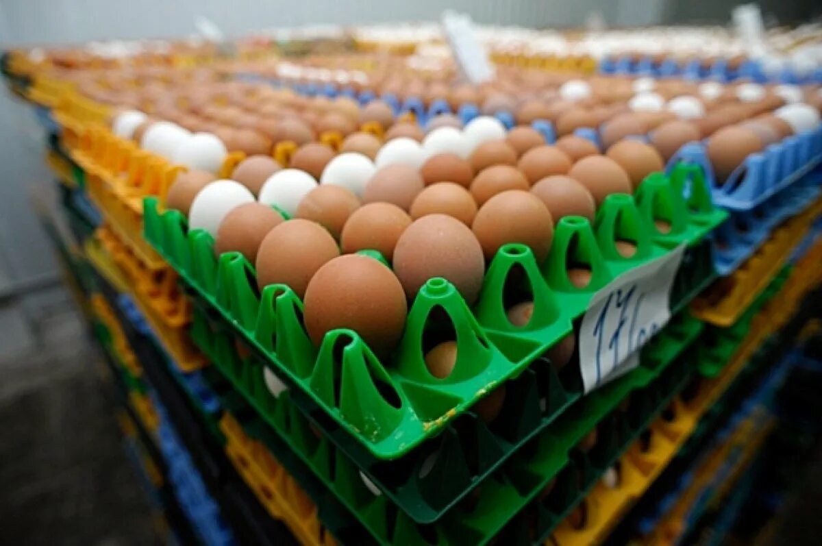 Дефицит яиц и курицы. Склад яиц. продукция птицеводства. транспортировка яиц. 1000 куриных яиц.