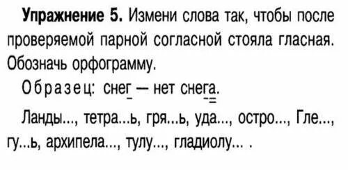 Парные согласные на конце слова задания. Правописание звонких и глухих согласных упражнения. Карточки с заданиями по русскому языку 2 класс. Правописание парных звонких и глухих согласных на конце слова 3 класс. Парная звонкая и глухая согласная задание 1 класс.