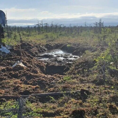 Умер болот. Мявринское болото Тосненского района. Болота Сахалина.