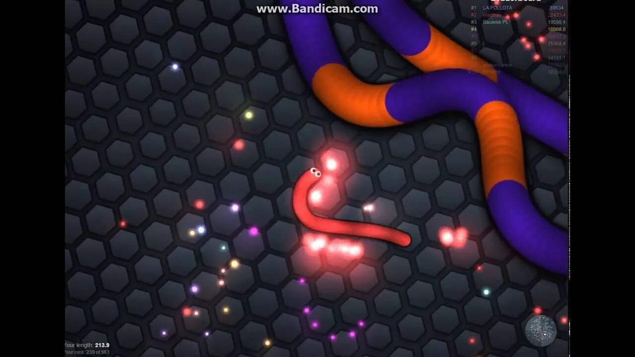 А могут ли червячки слизарио заползти. Много маленьких червячков slither io. А могут ли червячки слизарио заползти. Раскраска слизарио игра. Agario червячки.
