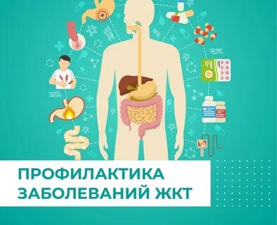 Инфекция желудочно кишечного тракта