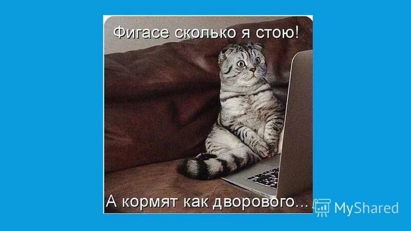 От плохого семени не жди хорошего племени. Интернет это зараза. Интернет хуже семечек. Хуже семечек. Семечки магнит.