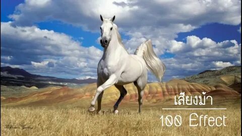 Танымал ресейлік фильмдердің порноремейктері