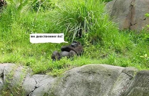 Картинки РАБОЧАЯ ЛИ СУББОТА 27