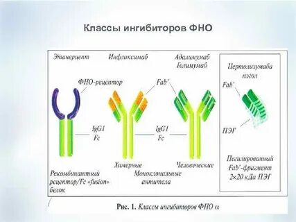 Фно анализ