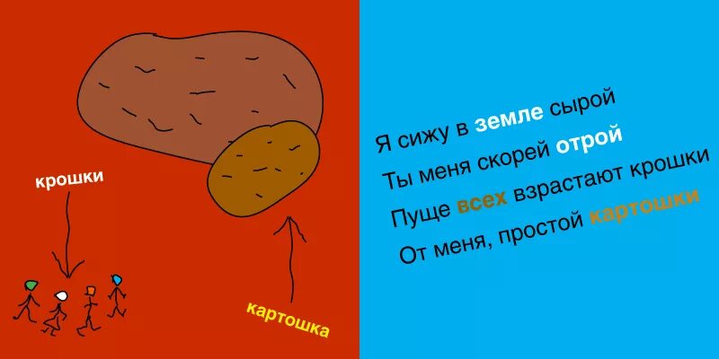 Скоро крошка. Стих про картошку смешной. Стишок про картошку для детей. Стихи про картофель для детей. Стих про картошку для детей.