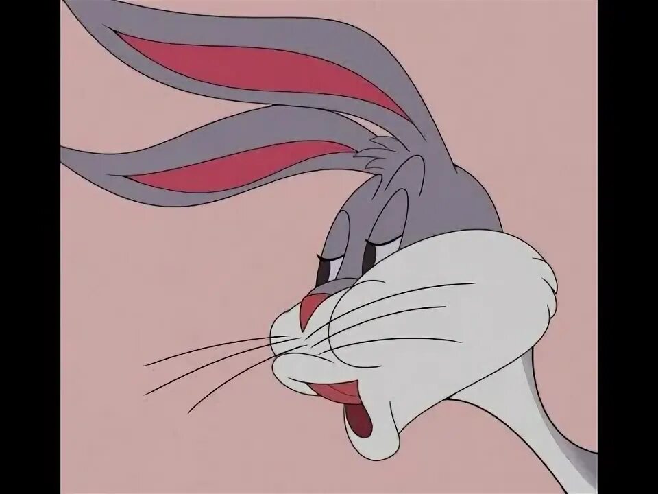 https://pi-la.tumblr.com/post/184850513239 Bugs bunny, Love gif, Looney tunes bu