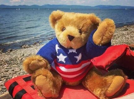 Bear company
