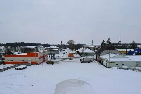 С боровиха алтайский край