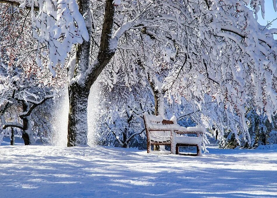 Красивая зима. Зимняя природа. Красивая Снежная зима. Снежный пейзаж. Is winter beautiful