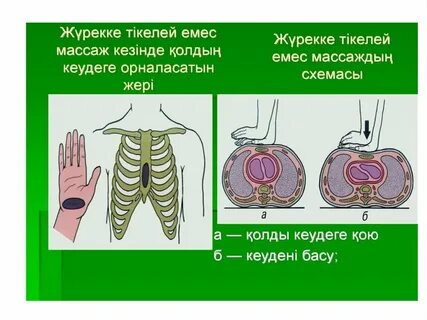 Нина Мерседес порно онлайн көру