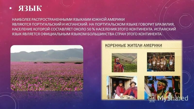 аймара народ южной америки. жители южной америки. кечуа народ южной америки. перуанцы народ южной америки. жители перу перуанцы.