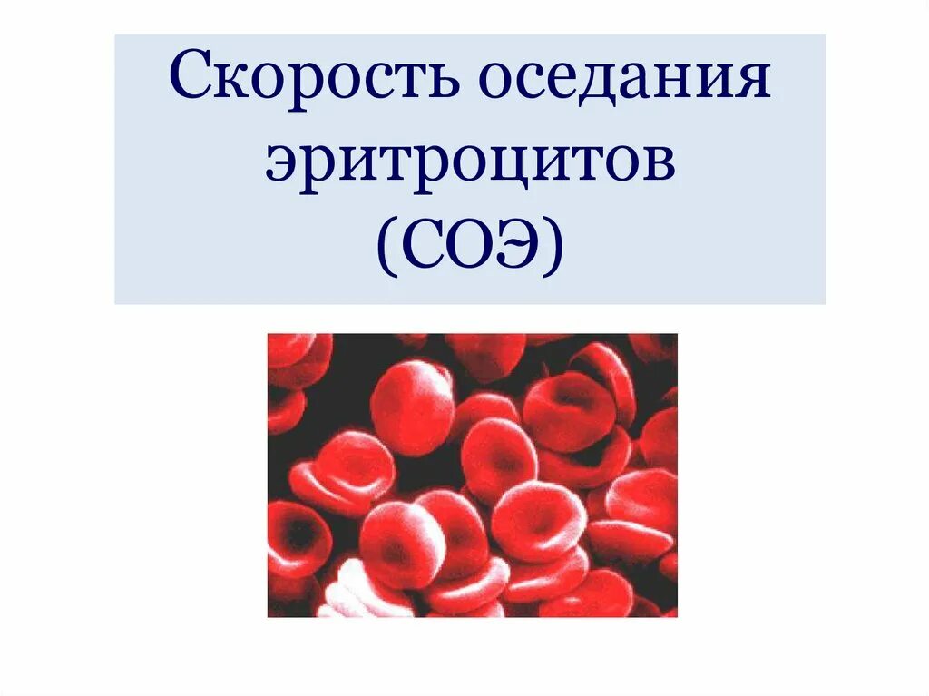 Соэ эритроцитов. Скорость оседания эритроцитов. Скопление эритроцитов. Эритроцитоз СОЭ.