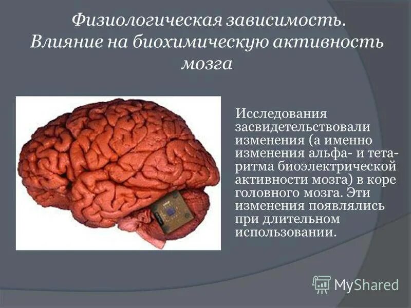 Восстановление деятельности головного мозга. Активность головного мозга. Влияние телефона на активность мозга. Влияние на деятельность мозга.. Состояния мозговой активности.