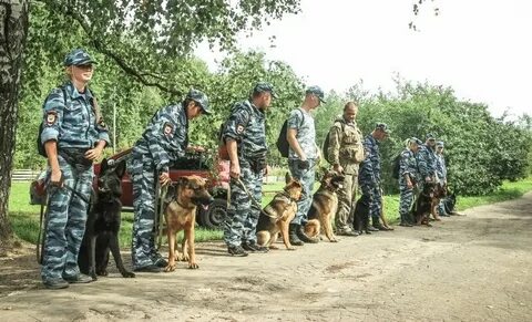 Кинологический колледж спб