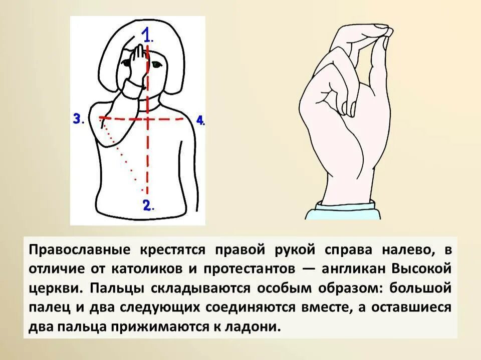 Крестное сердце. Как правильно креститься православным христианам в церкви. Как правильно креститься в православии. Как правильно креститься православным при входе в Церковь. Как креститься правильно православным справа налево.