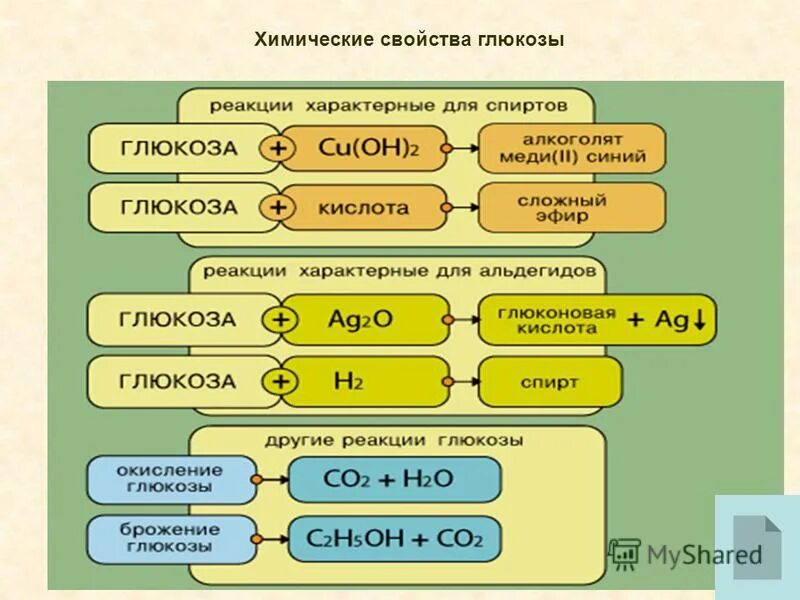 реакция сахара. синтез гликогена глюкозо 1 фосфат. основные реакции глюкозы. брожение глюкозы катализатор. фосфорилирование гуанозина реакция.