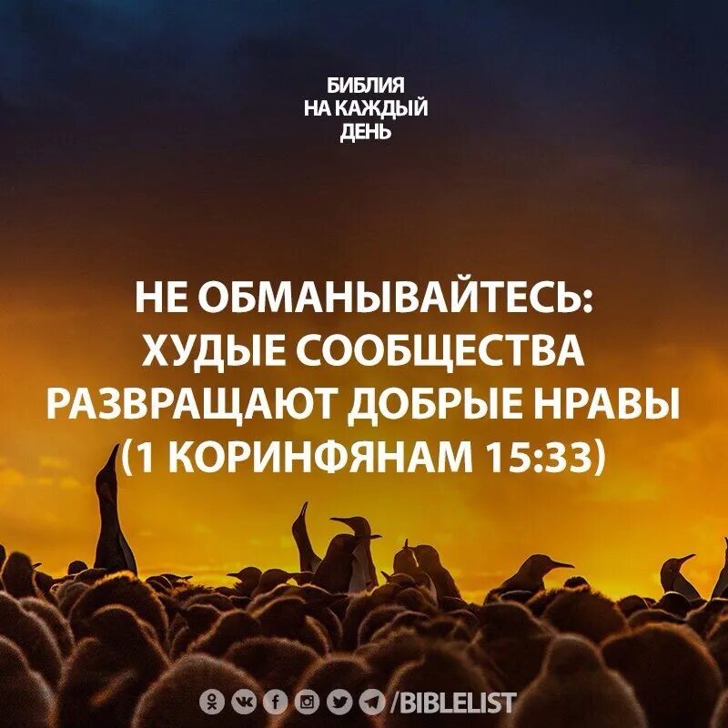 Библия на каждый день. Дурные сообщества развращают добрые нравы. Не обольщайтесь худые сообщества развращают добрые нравы. Не обманывайтесь худые сообщества развращают добрые нравы. Худые сообщества развращают добрые.