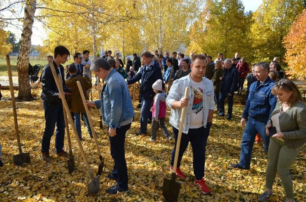 ГКУ со Самарские лесничества. Косарев Самарские лесничества. Кинельский лесхоз Самарской области.