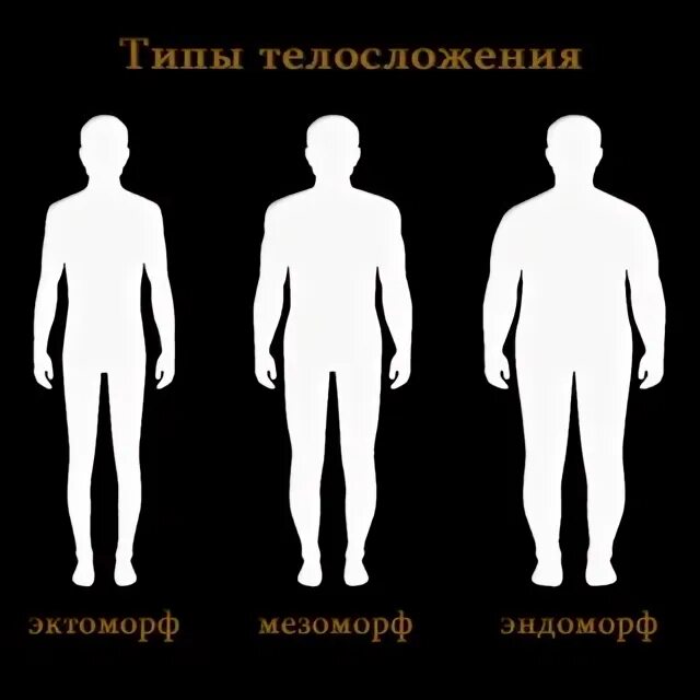 Тип тела 8. Типы людей эктоморф мезоморф эндоморф. типы фигур эктоморф эндоморф мезоморф. тип телосложения эктоморф. 3 типа телосложения.