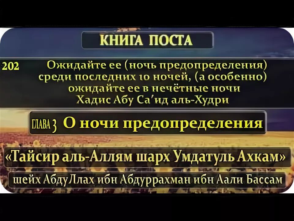 Намаз в ночь предопределения сколько ракатов. Ночь предопределения хадисы. про последние 10 ночей рамадана хадисы. ночь предопределения в исламе. предопределение в исламе.