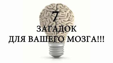 Твой мозг