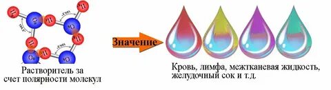 5 уровней в химии
