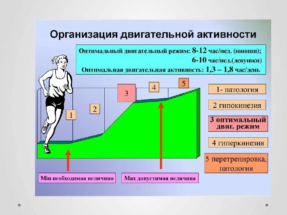 Двигательный режим и его значение реферат. Оптимальная двигательная активность. оптимальная двигательная активность в день. оптимальный двигательный режим. оптимальный двигательный режим студента.