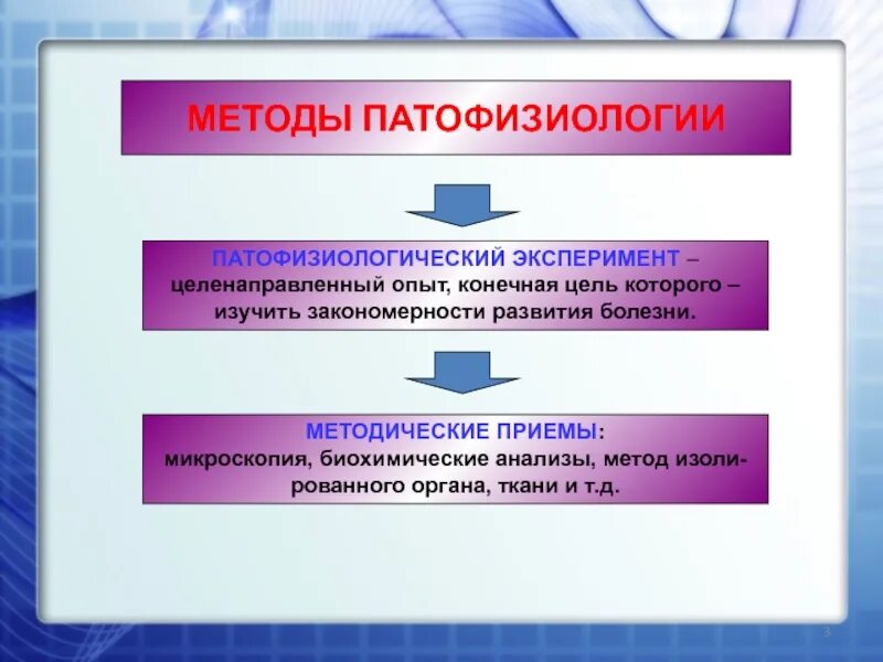 Патфиз это