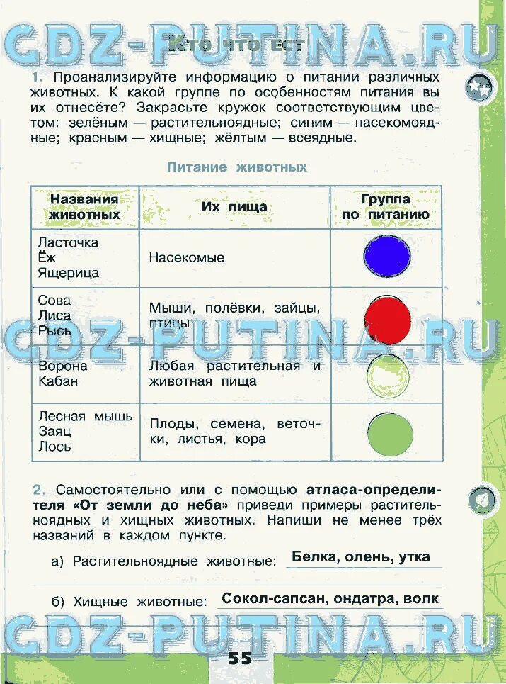 Окружающий тетрадь 3 класс. Окружающий мир 3 класс окружающий мир рабочая тетрадь гдз. Плешаков 3 класс рабочая тетрадь. Гдз окружающий мир 3 класс рабочая.