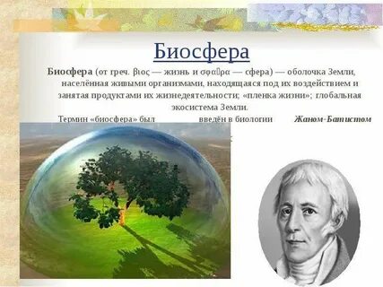 Биосфера поиск