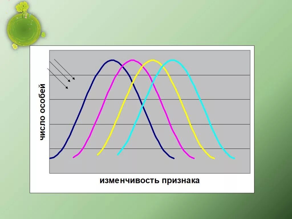 Движущие силы отбора. Дизруптивный естественный отбор. дизруптивный отбор примеры график. примеры дизруптивного отбора. дизруптивный отбор результат.