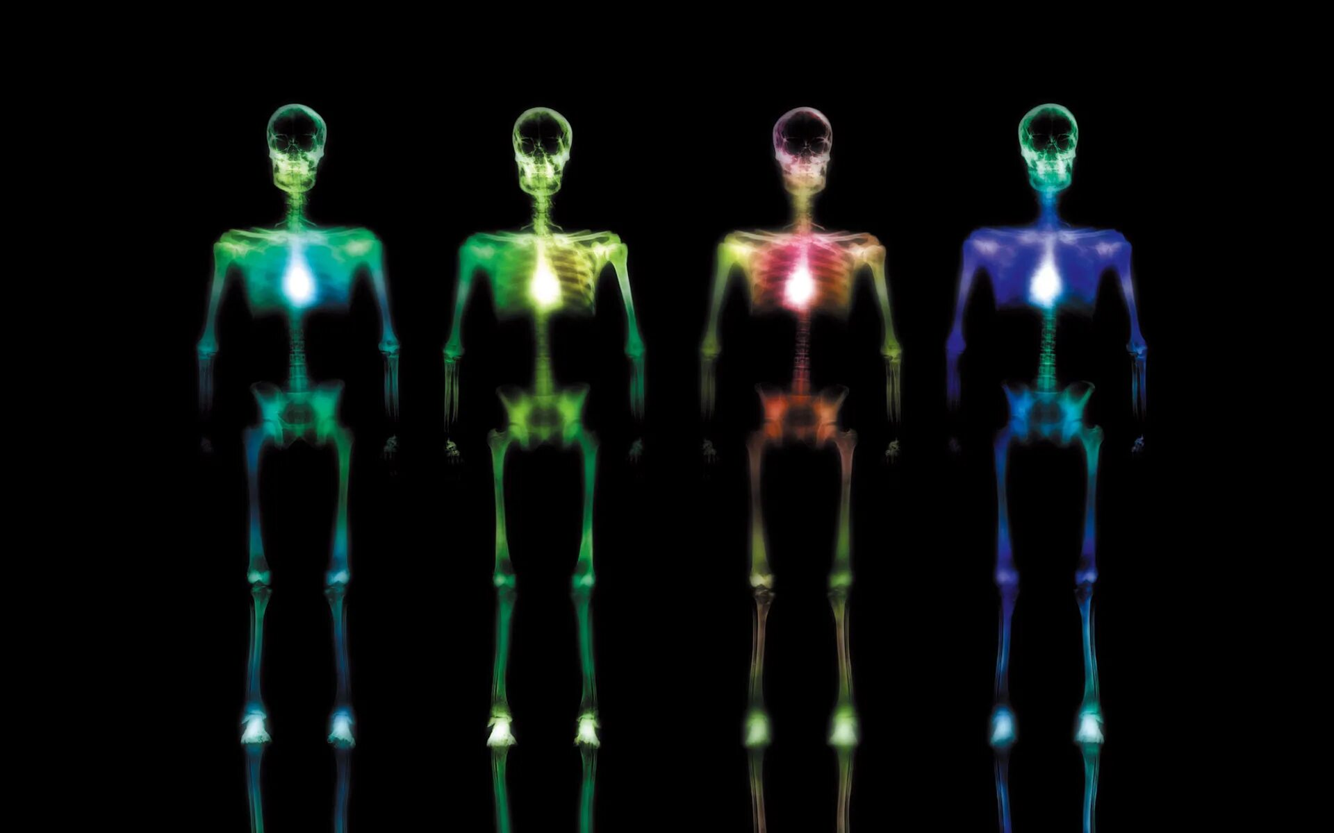 Рентгеновские снимки. Рентгеновский снимок человека. Цветные рентгеновские снимки. X ray рентгеновские лучи. Xray extension