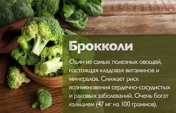 Капуста брокколи витамины. Чем полезна брокколи. Чем полезна брокколи для организма. Брокколи польза. Брокколи полезные свойства.