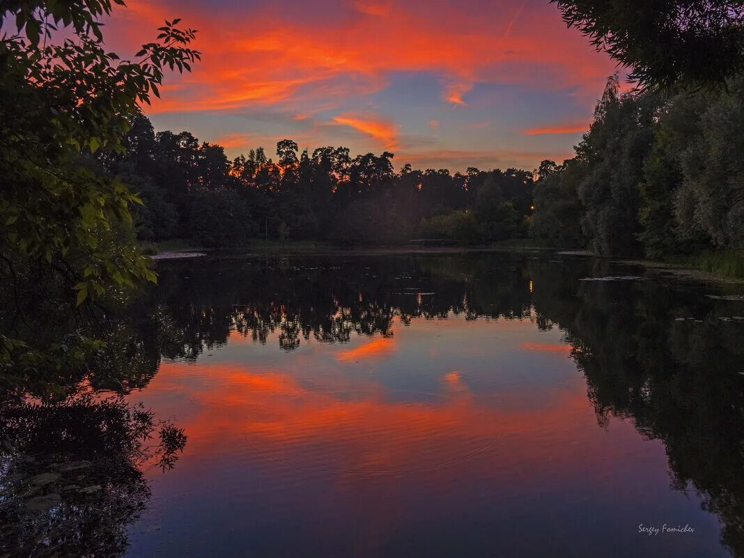 есенин выткался. заря озеро. выткался на озере …. выткался над озером. выткался над озером.