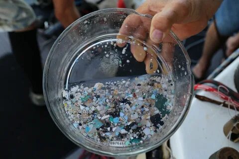 Микропластик в бутилированной воде