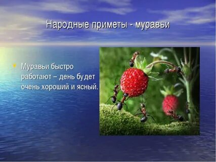 Приметы связаны со всем с цветом
