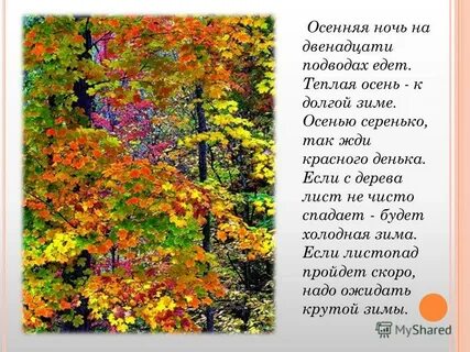В какое время года листопад