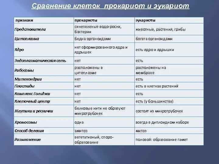 Строение клеток прокариот и эукариот таблица. Характеристика прокариотической и эукариотической клеток. Строение прокариотической и эукариотической клетки таблица. Клеточные структуры эукариоты и прокариоты таблица.