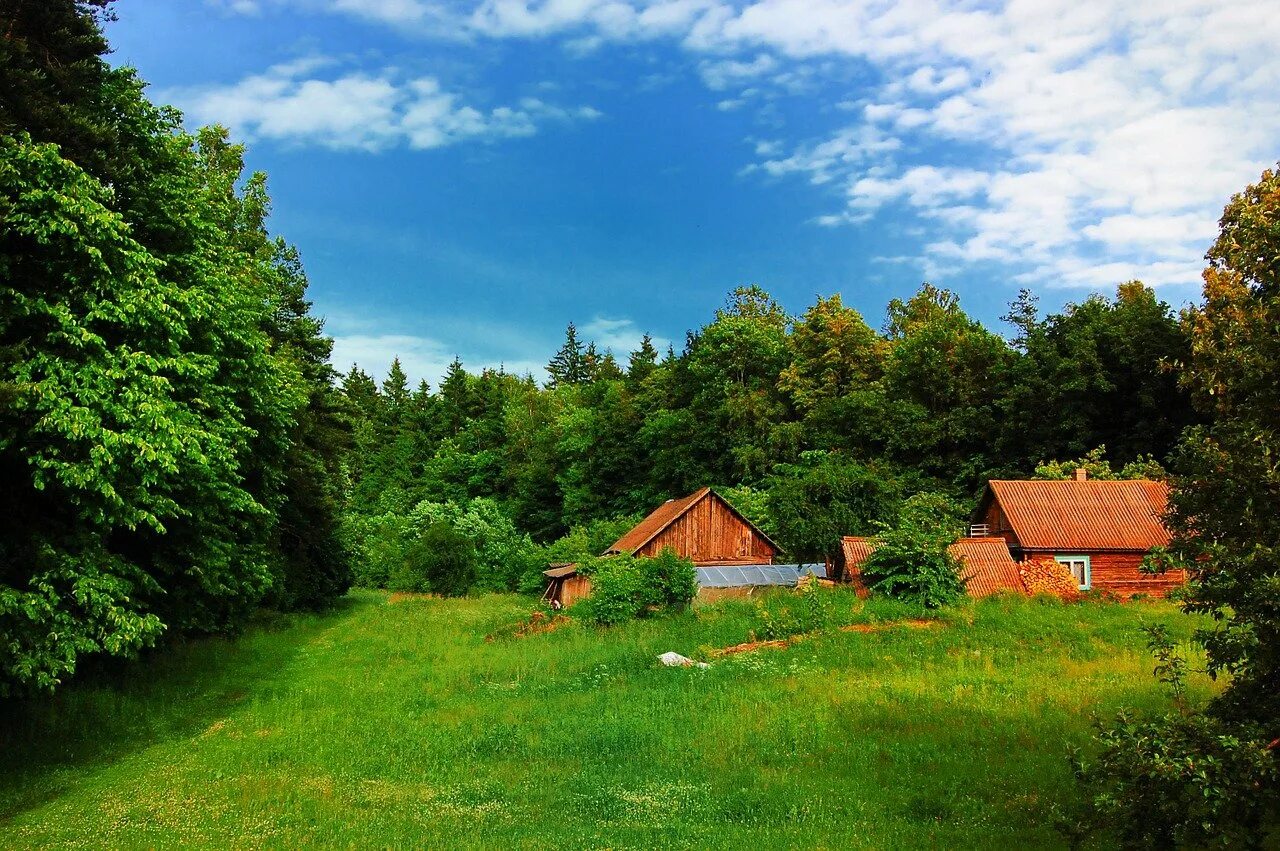 Загородная природа. Зеленый Хутор в Литве. Деревня в лесу. Лето в деревне. Деревенская природа.