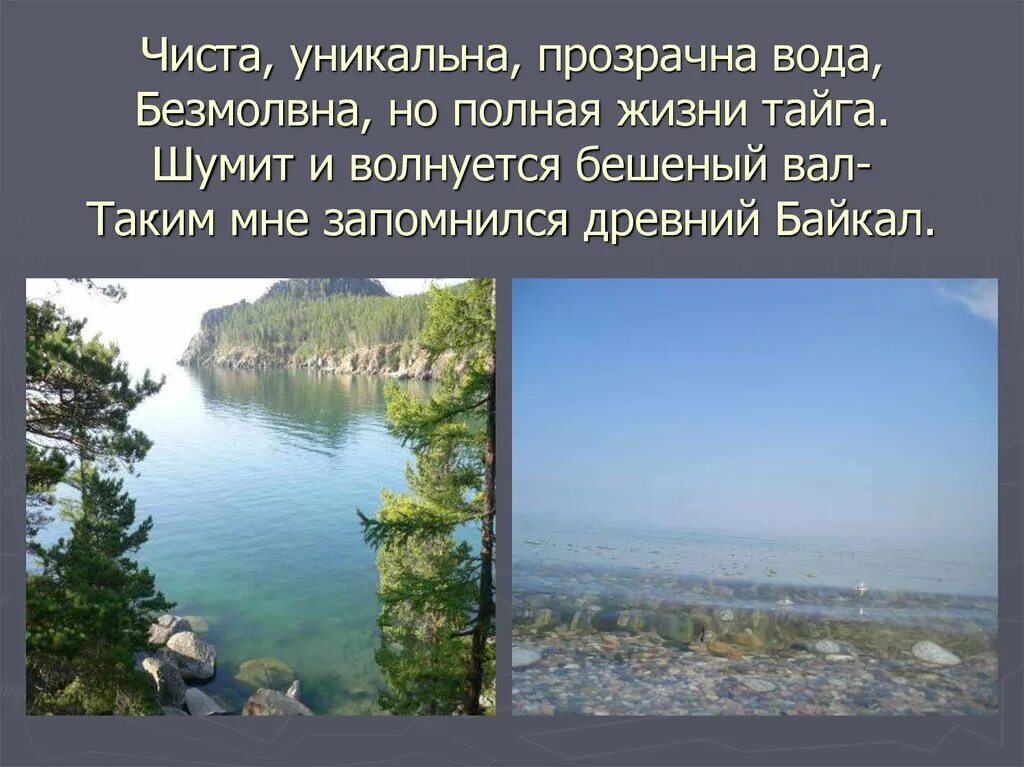 Почему байкал такой чистый. Режим озера Байкал. Озеро Байкал доклад. Почему вода Байкала прозрачная. Шумит Тайга.