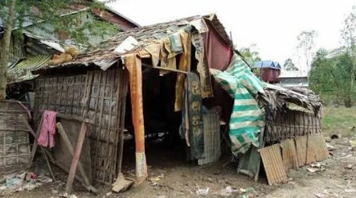 Лачуга. Золотое семечко elden ring. Лачуга трупного запаха. Лачуга трупного запаха. Лачуга трупного запаха.