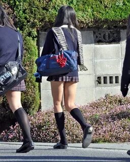 School legs