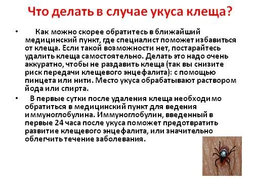 Если укусил клещ какие таблетки нужно пить. Иммуноглобулин при укусе клеща. Иммуноглобулин после укуса клеща. Иммуноглобулин при укусе клеща детям. Иммуноглобулин после укуса клеща детям.