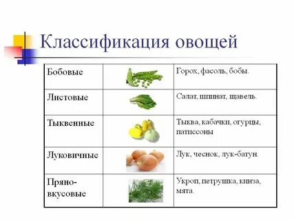 Сколько живут овощи