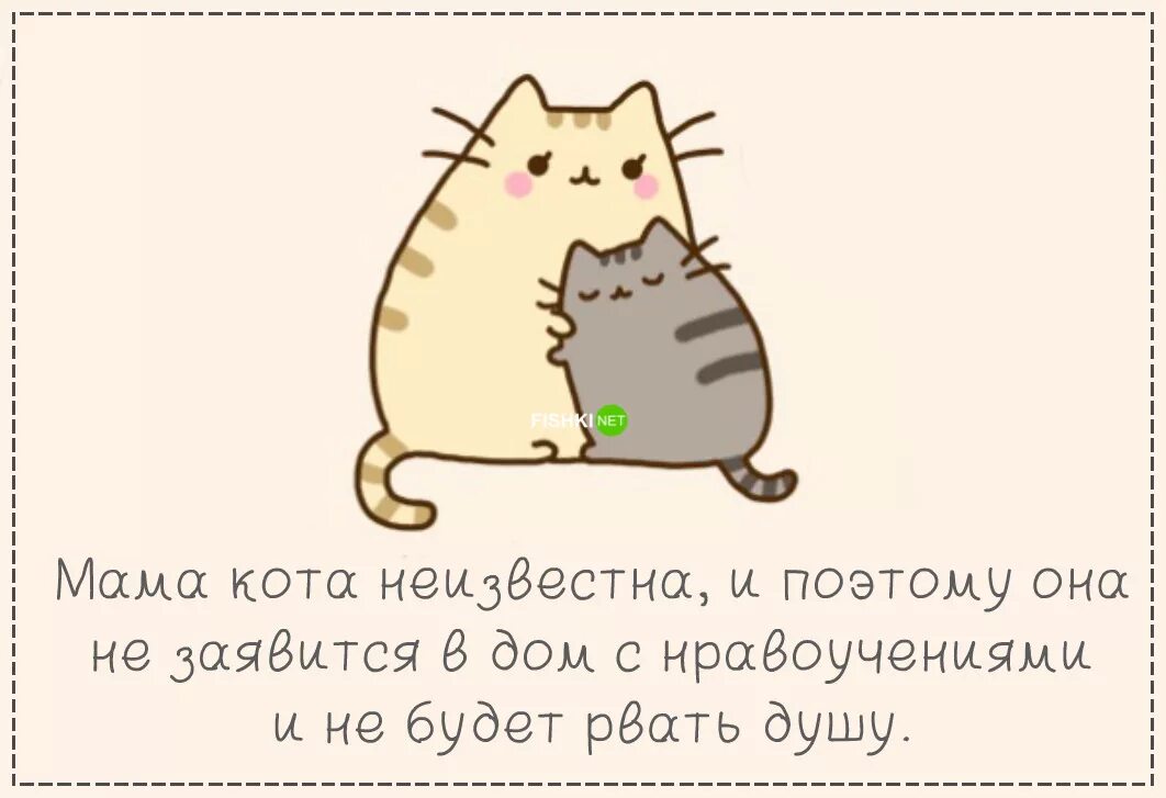 Быть котиком 6. Причины быть котом. идеи для лд шесть причин быть котом. 6 причин быть котиком. лд причины быть котом.