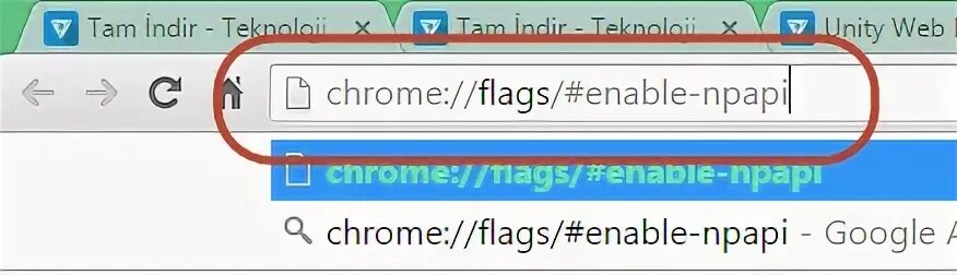 Chrome flags npapi
