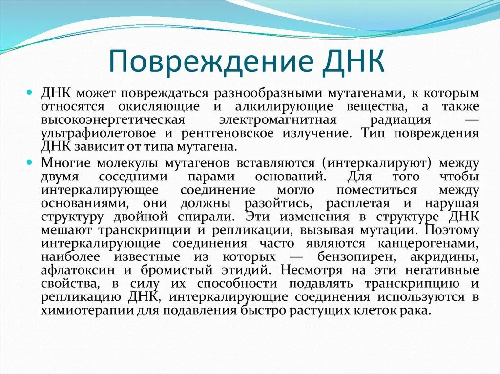 Повреждение ДНК. Типы повреждений ДНК. Поврежденная ДНК. Разрыв ДНК.